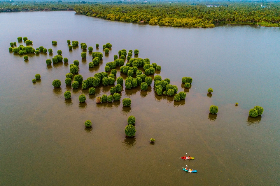 Kayak At Kavvayi