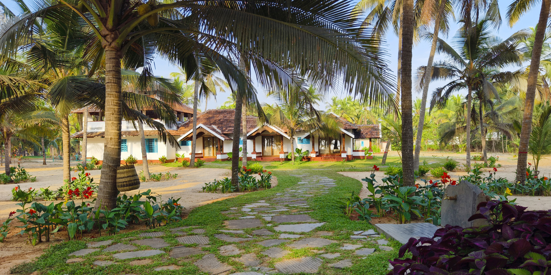 Image6